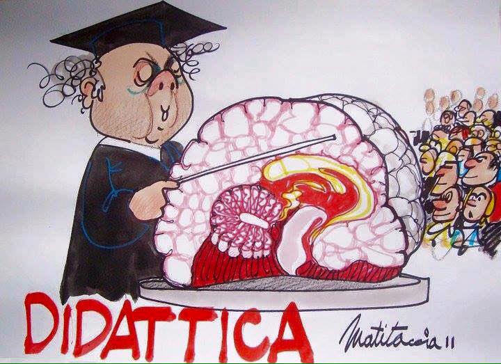 Didattica
